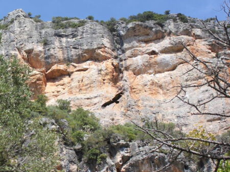 Wandelvakantie Andalusië