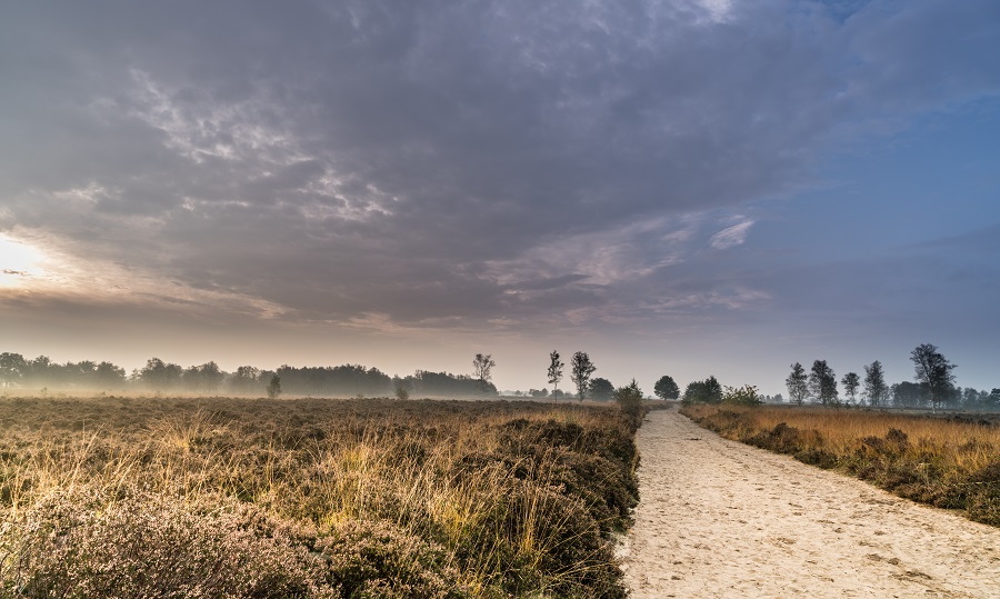 wandelvakantie Nederland - Kop van Drenthe