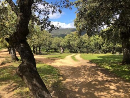 Wandelvakantie Andalusië