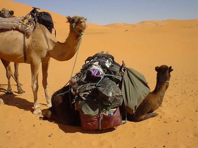 wandelvakantie Marokko - Sahara