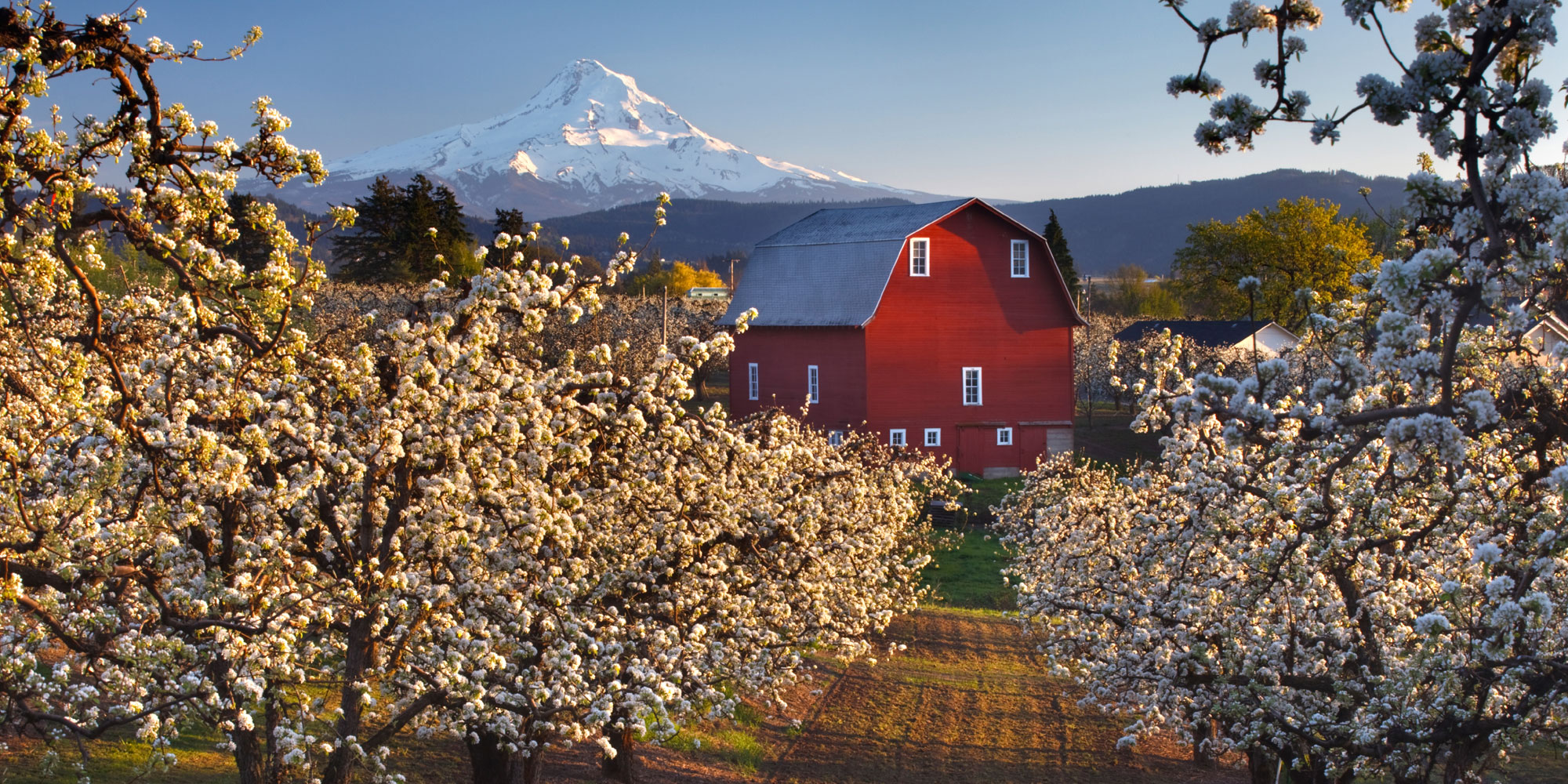 wandelvakantie Verenigde Staten - Hiking Washington