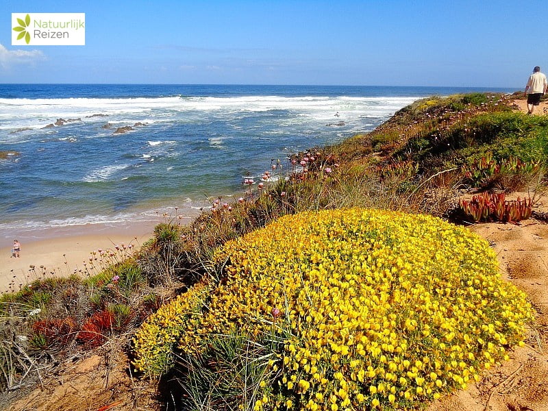 Wandelvakantie Rota Vicentina